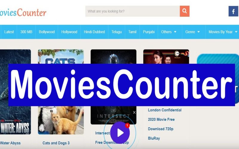 Movies-Counter
