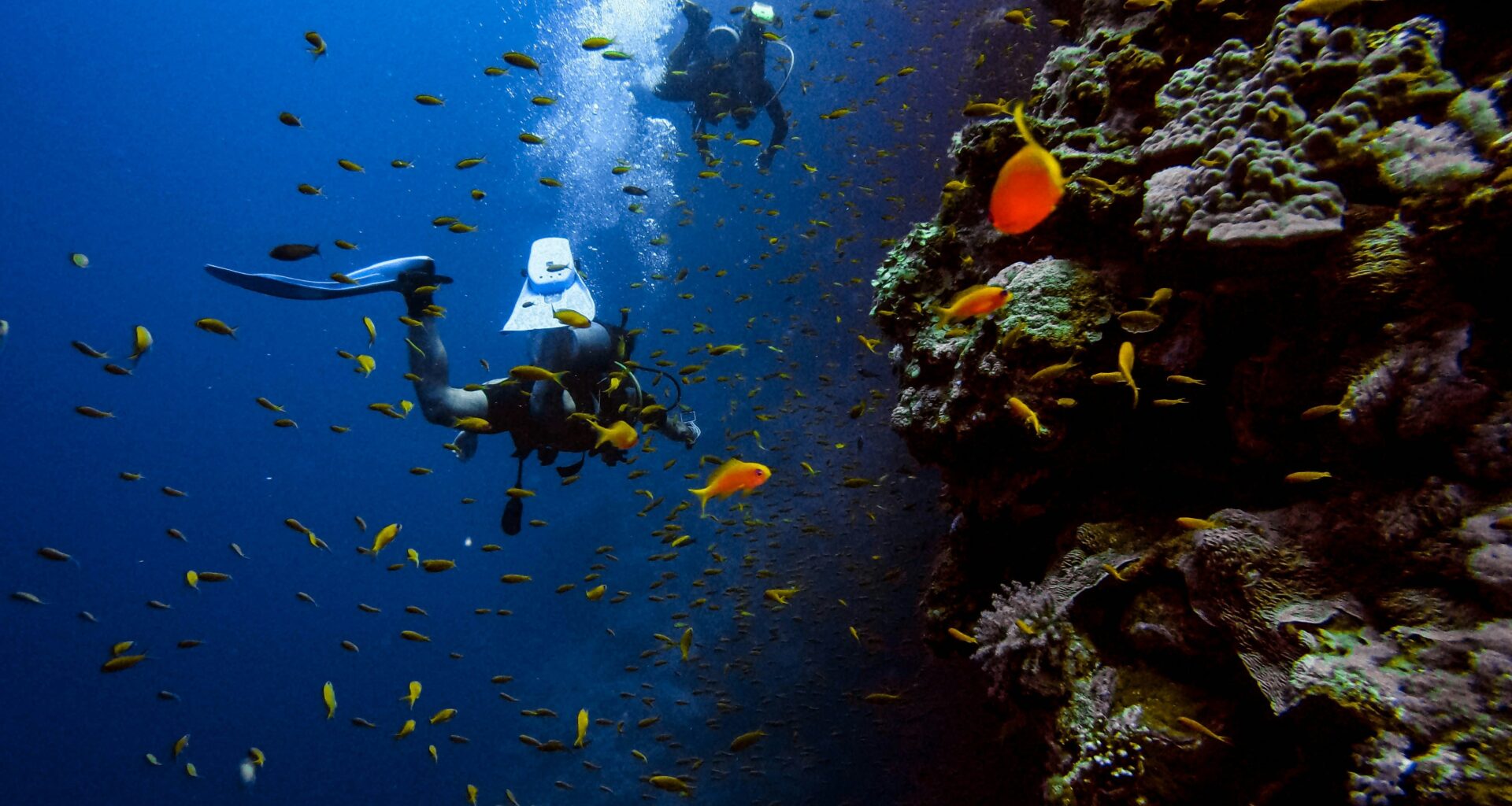 Scuba Diving Destinations