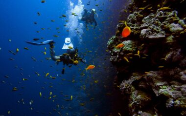 Scuba Diving Destinations