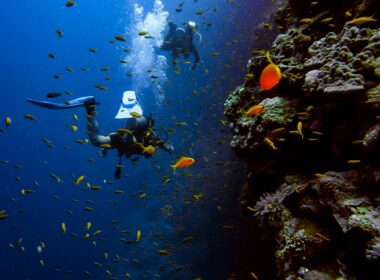 Scuba Diving Destinations