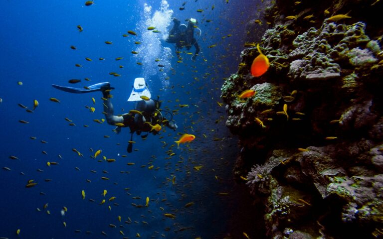 Scuba Diving Destinations