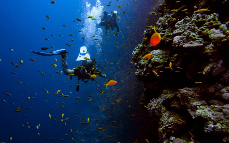 Scuba Diving Destinations