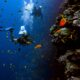 Scuba Diving Destinations